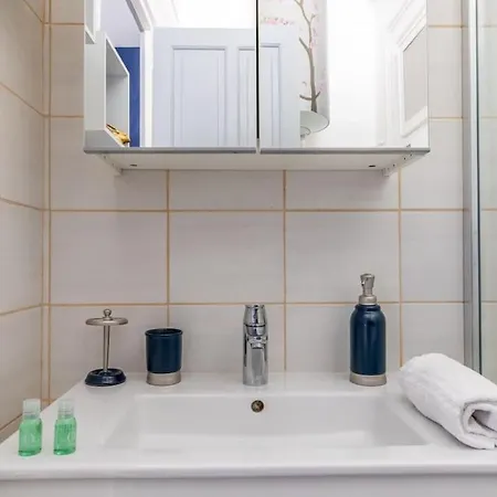 De Standing 3*** Le Rosa Blue A L'international Apartment Vichy