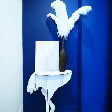 De Standing 3*** Le Rosa Blue A L'international Apartment Vichy